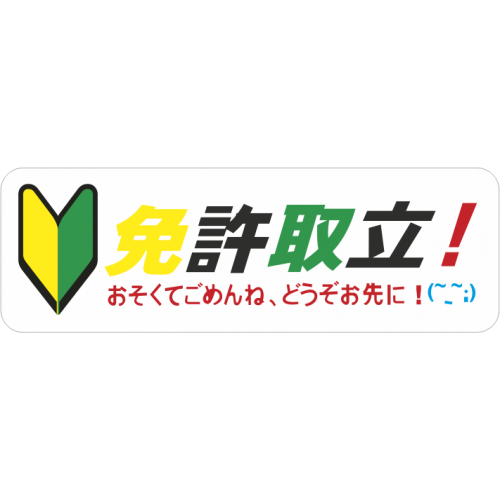 Shoshinsha Beginner Driver Badge in Yellow and Green