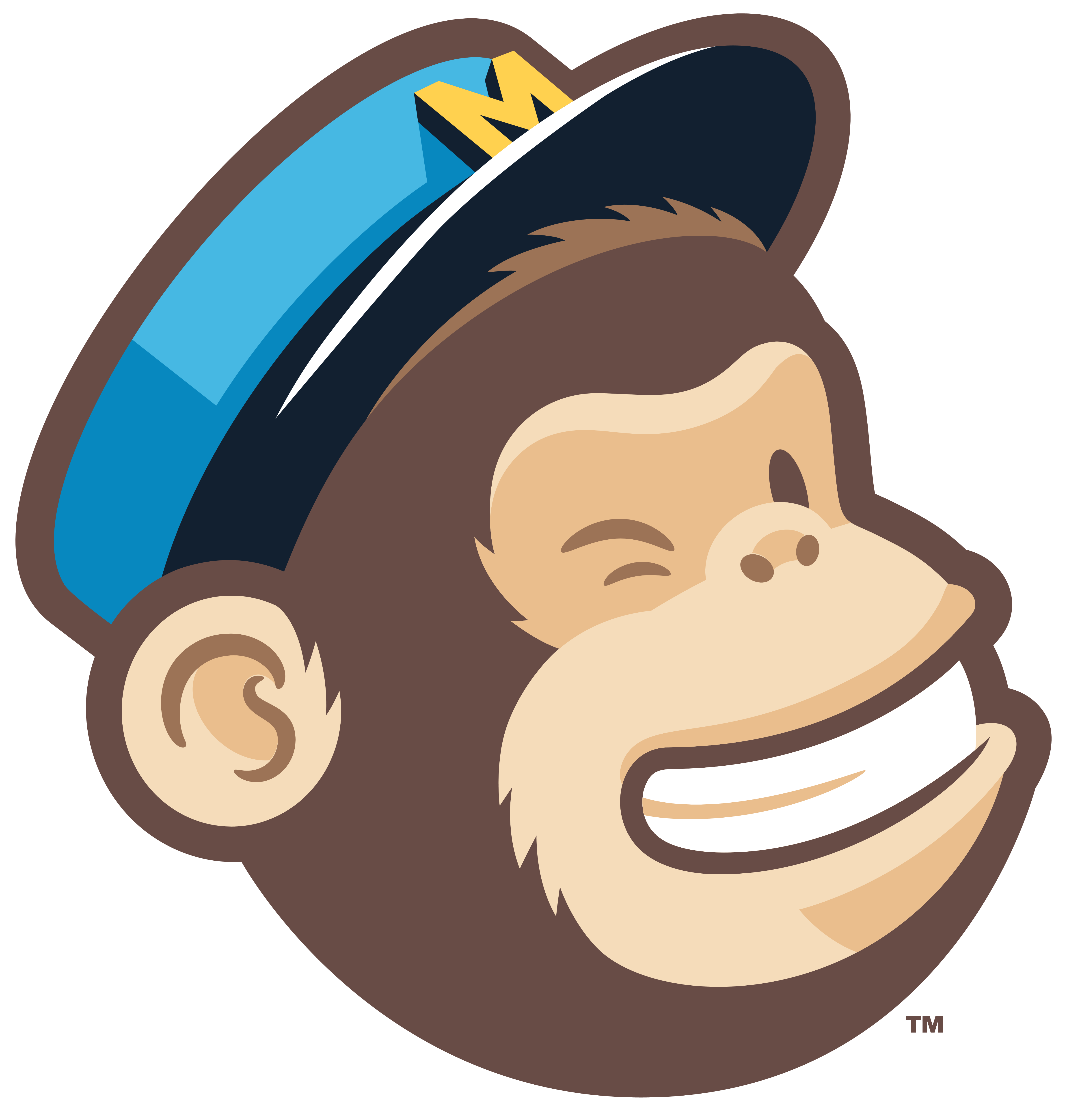 mailchimp email marketing business logo e commerce cartoon logo