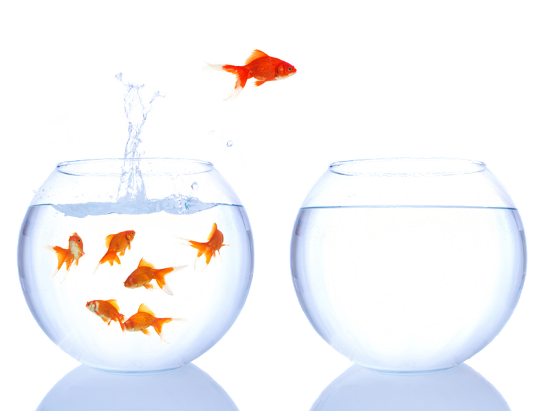 market entry strategy marketing business target market marketing