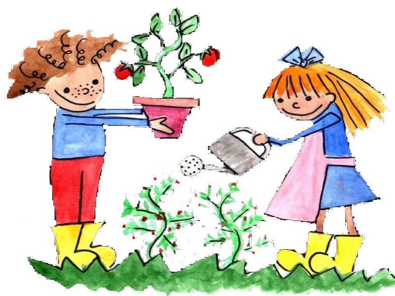 market garden drawing school education sowing school