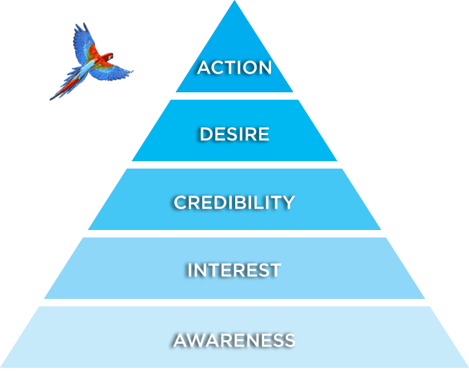 Blue Stepped Pyramid Diagram with Flying Macaw