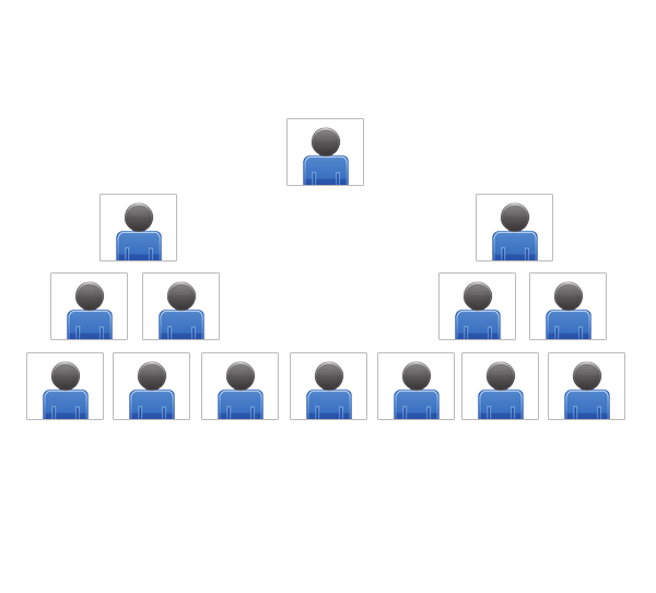 multi level marketing binary plan business business