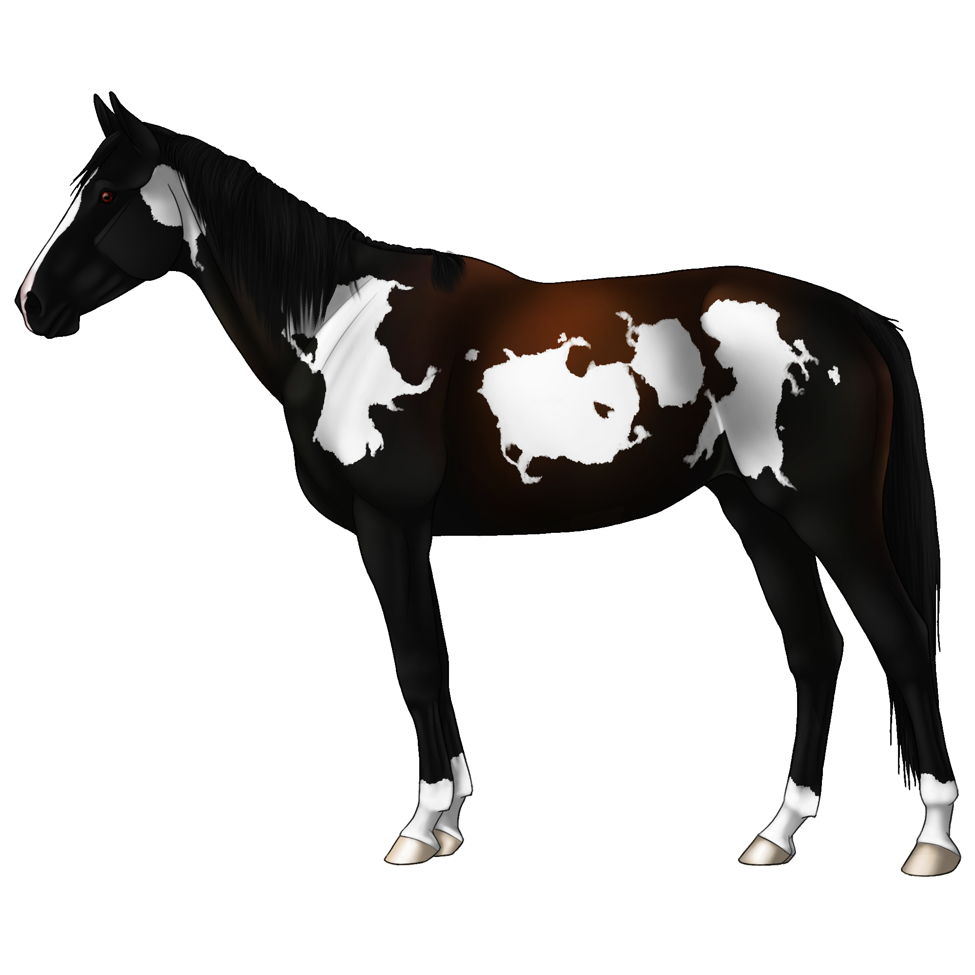 Black and White Pinto Horse in Profile