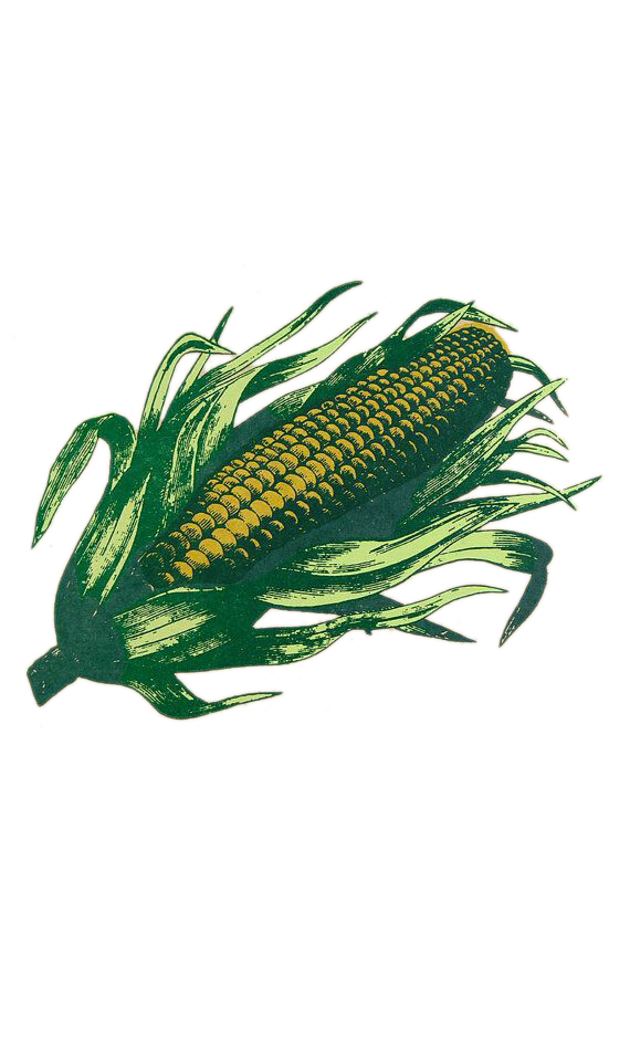 natchitoches paper farmers market poster corn
