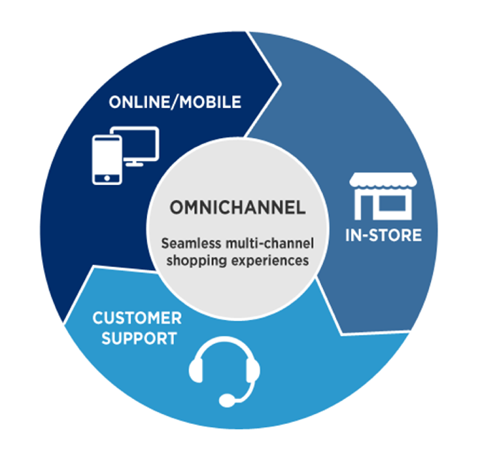 Omnichannel Diagram in Navy and Blue