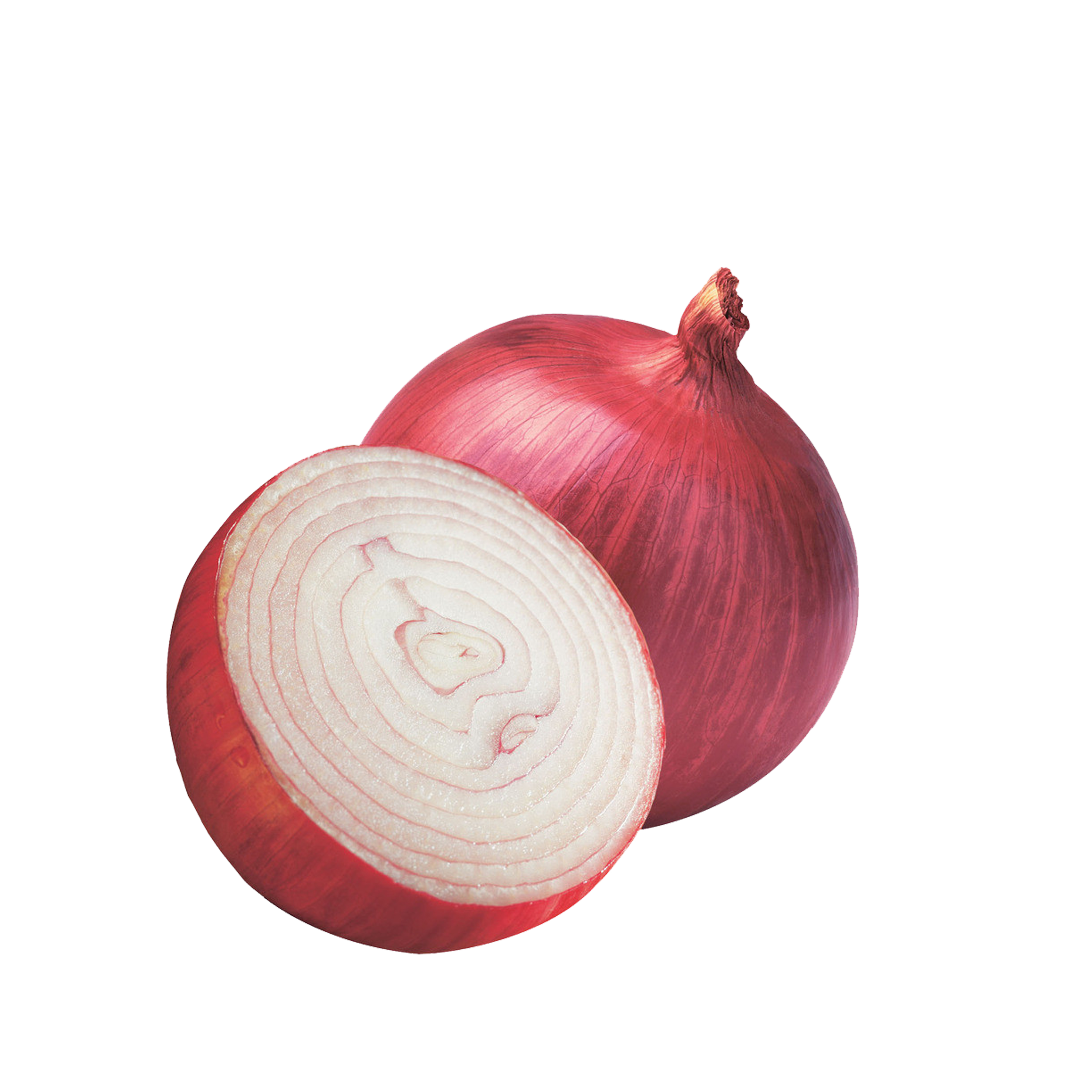 onion beijing xinfadi marke
