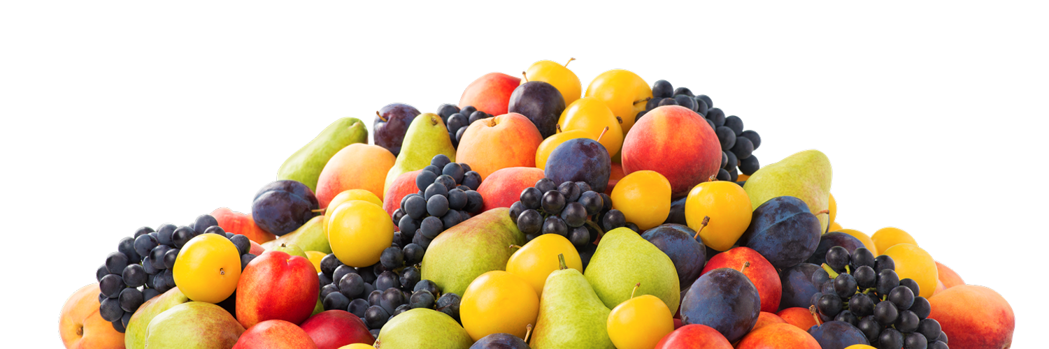 ontario tender fruit producers marketing board vegetarian cuisine annual report fruits amp vegetables