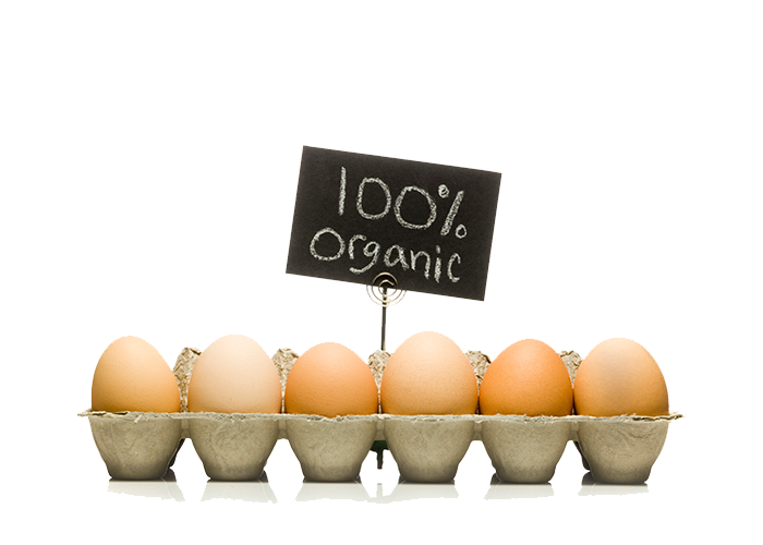 Six Brown Organic Eggs in Grey Carton