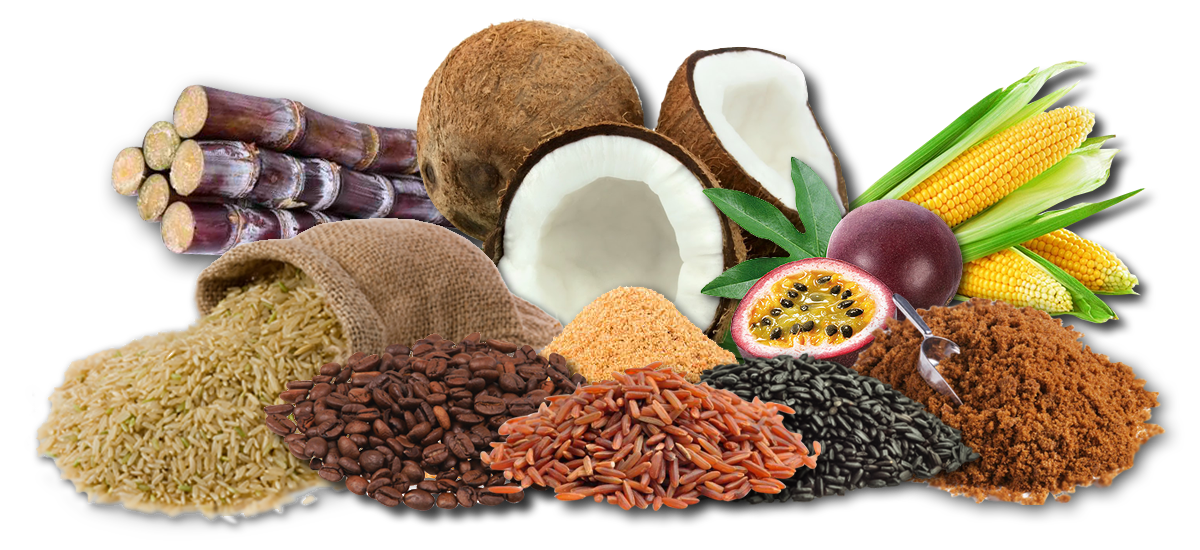 organic food philippines agriculture marketing