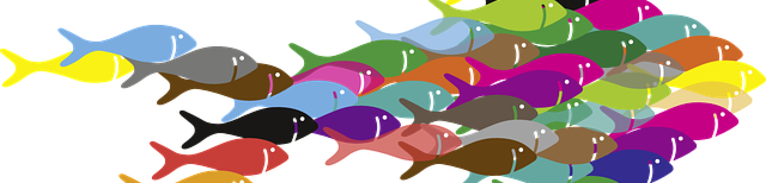 organization portable network graphics az ev hala magyarorszagon information clip art business marketing