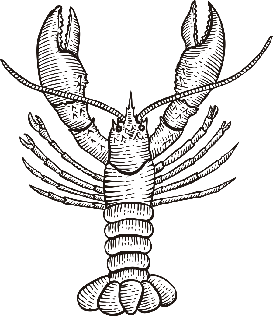 port isabel gulf quality seafood drawing fish market shellfish