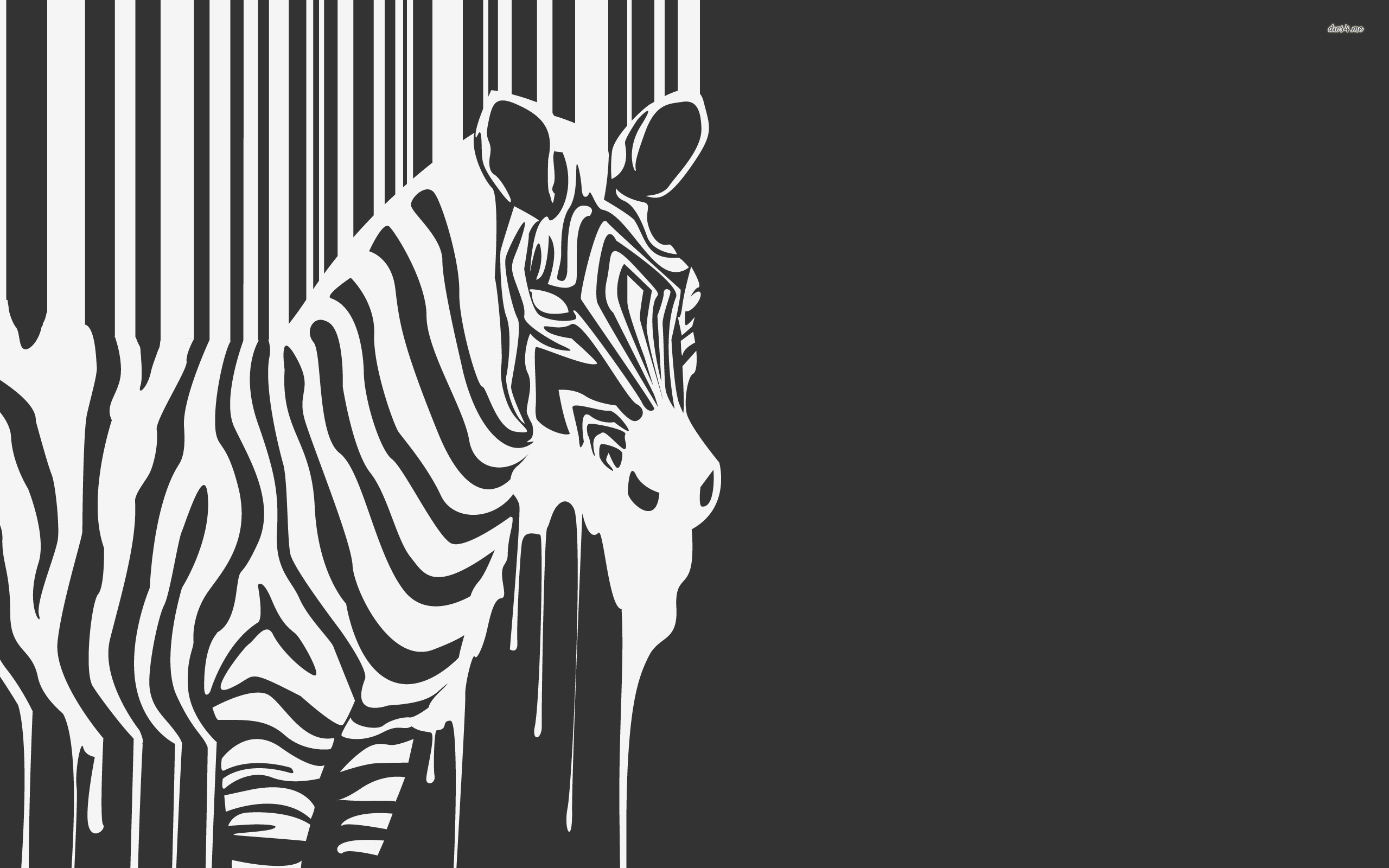 publication packaging and labeling marketing issuu magazine zebra