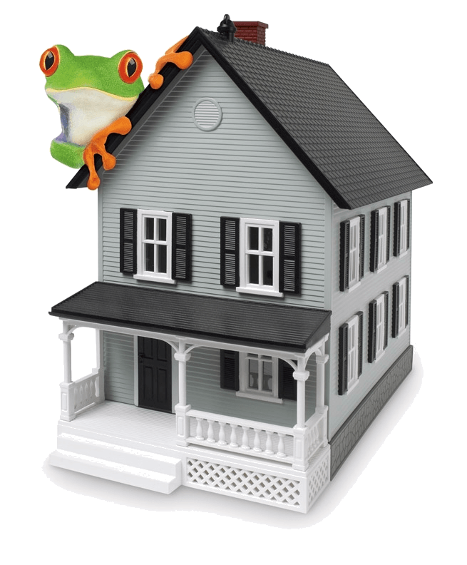 real estate house property home title frog marketing