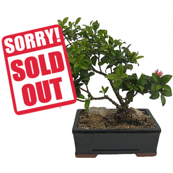 sales marketing retail e commerce business sold out