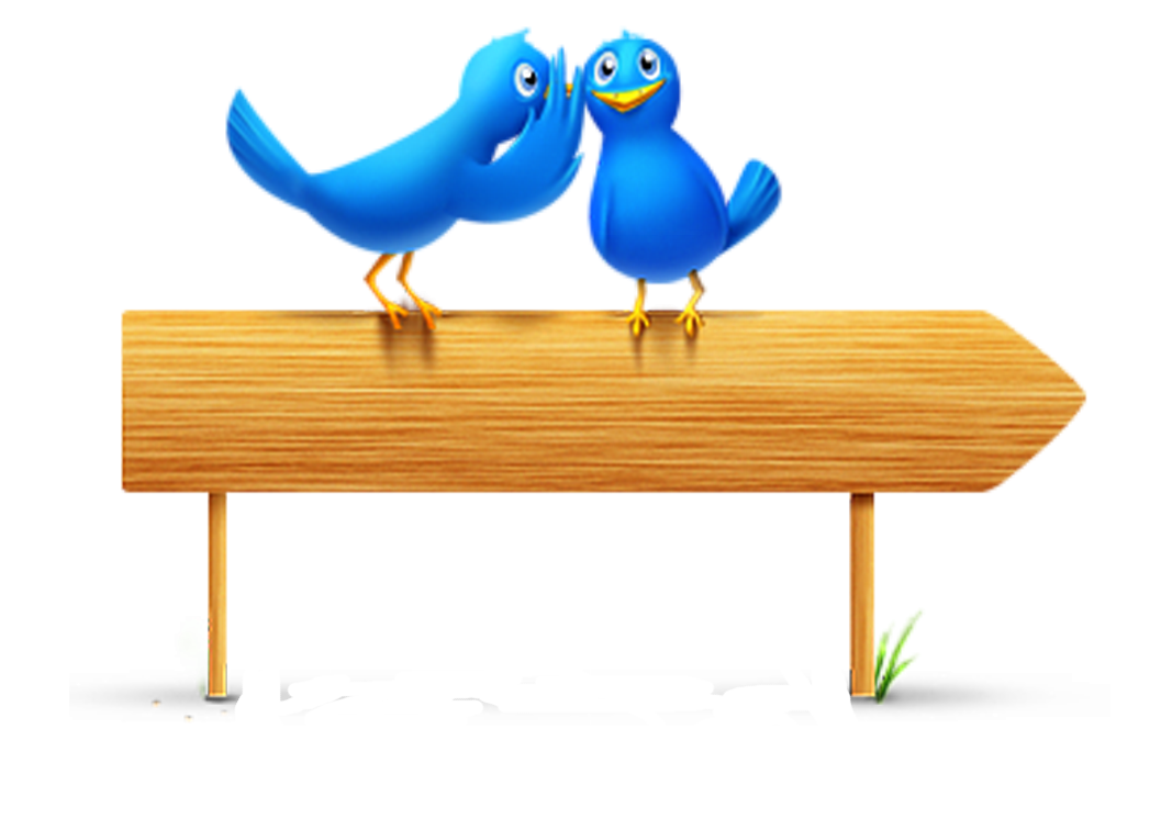 Two Blue Cartoon Birds on Wooden Arrow Sign