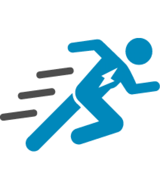 speed system sap erp implementation time to market others