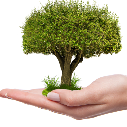 the little known secret to growing your wealth in bitcoins winnipeg industry business marketing company others