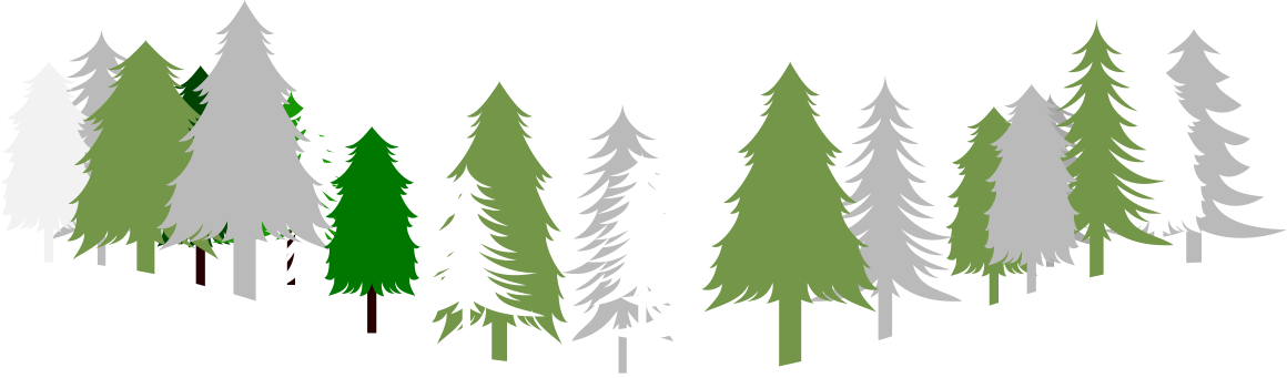 White Christmas Tree Tree Farm Christmas Day Christmas Tree Cultivation Christmas Tree Stands Christmas And Holiday Season Christmas Market Forest transparent bac