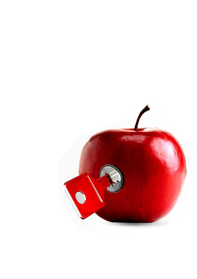 xingtai digital marketing apple business textured red apple lock