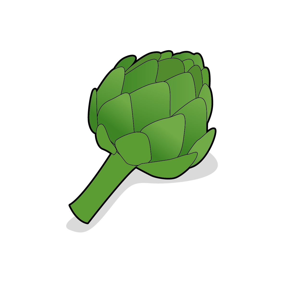 artichoke vegetable fruit market garden others