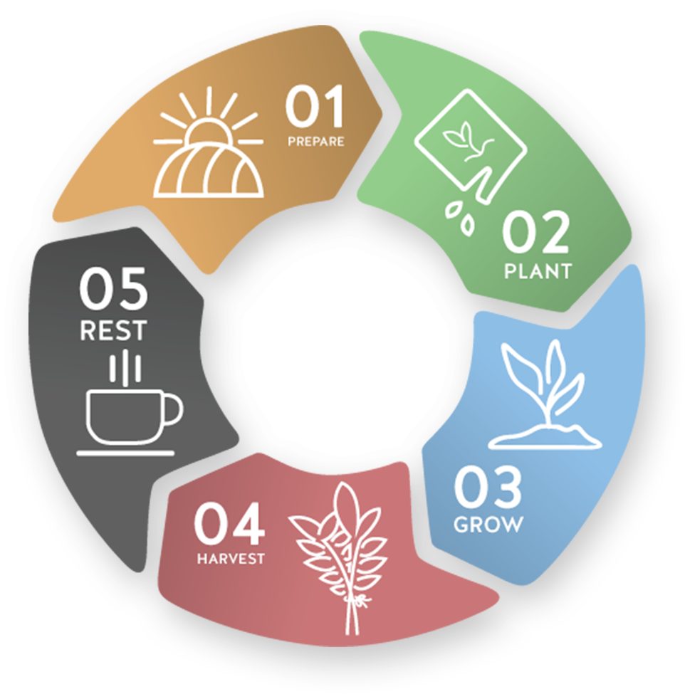 Circular Five-Step Farming Cycle Infographic