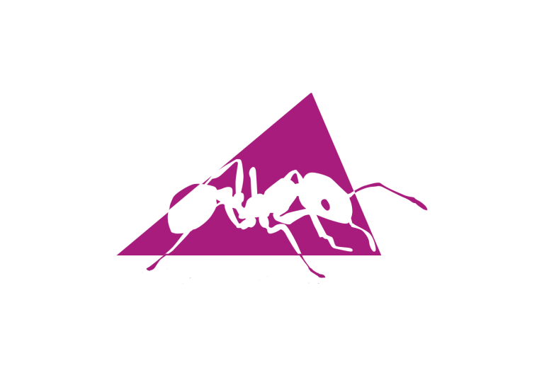 apache ant software build java apache http server apache maven others