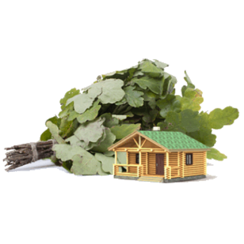 Log Cabin Sauna Model with Oak Leaves