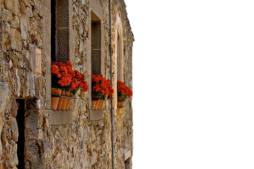 Red Geraniums in Terracotta Pots on Stone