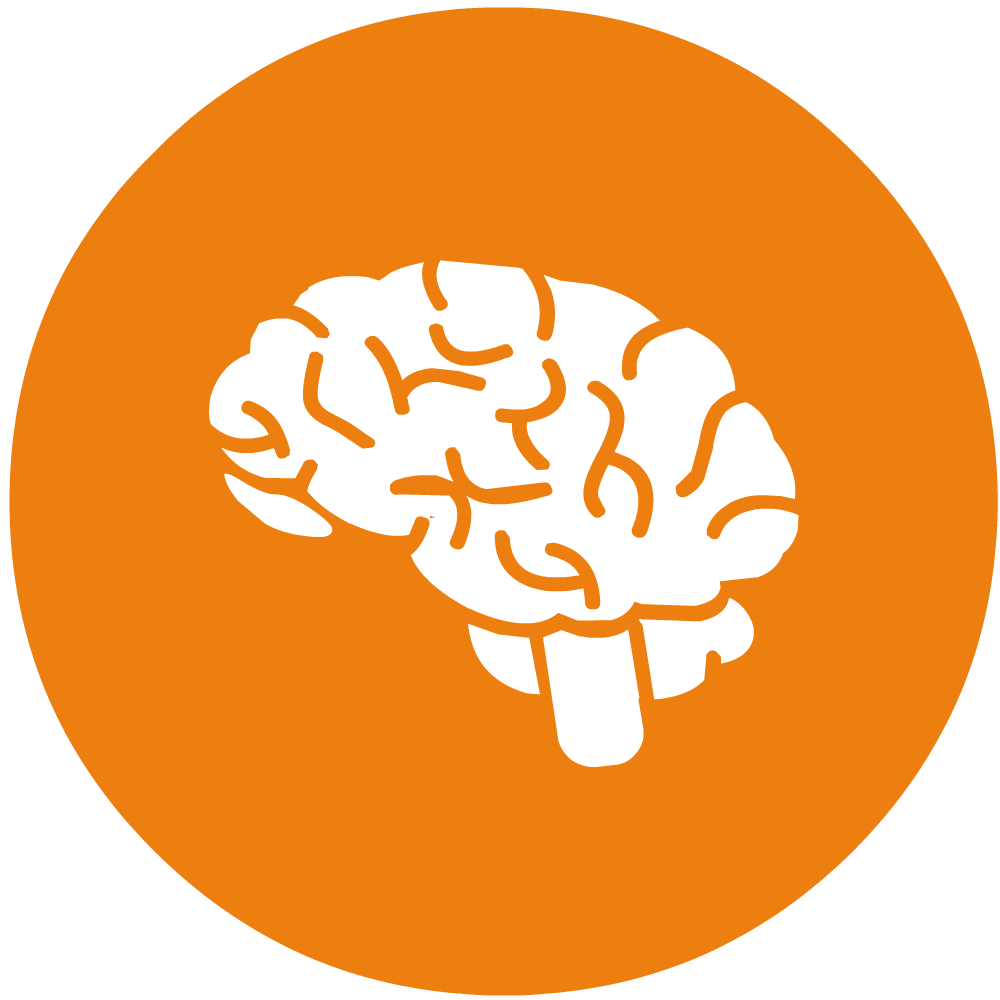 company building industry project management cerveau