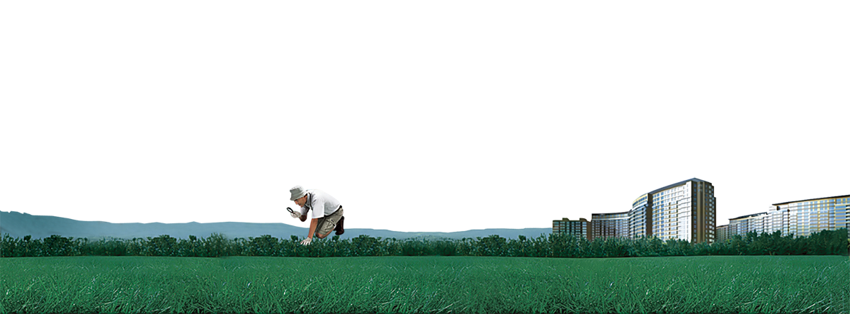 crop farm grassland rural area sky city building.png