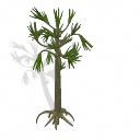 Spore Building Cordaites green tree illustration transparent background PNG free download