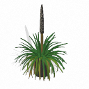 Spore Building Xanthorrhoea semiplana cartoon green linear plant transparent background PNG free download