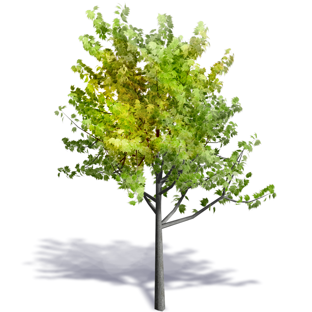 twig autodesk revit tree building information modeling autocad tree