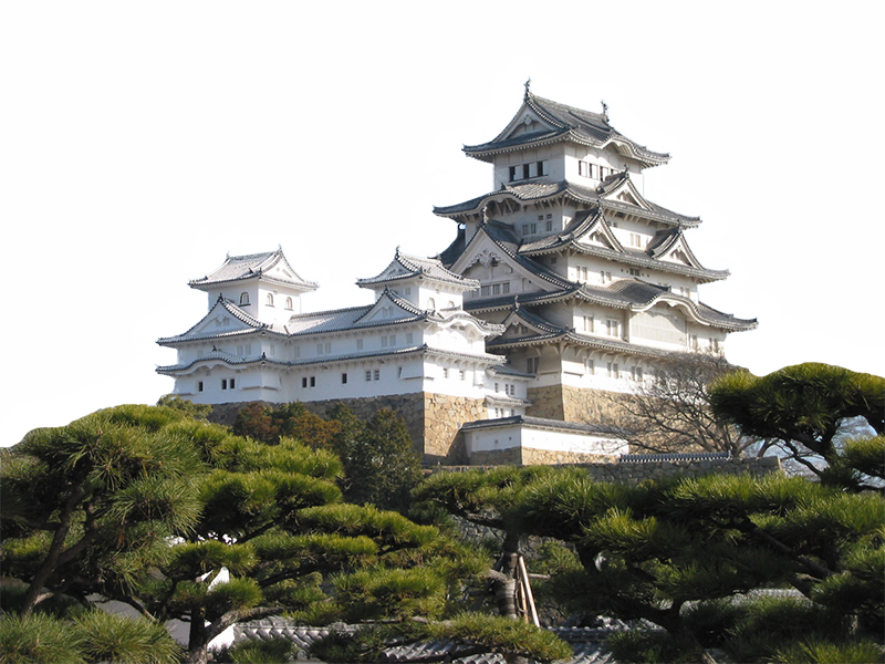 white and gray concrete building near trees transparent background PNG free download