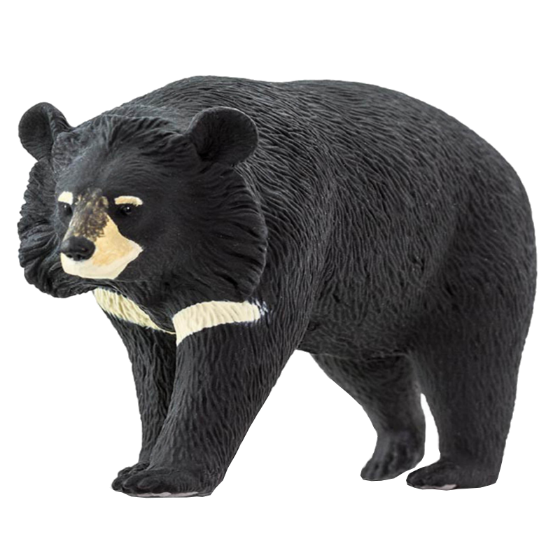 american black bear asian black bear safari ltd wildlife pocket build others