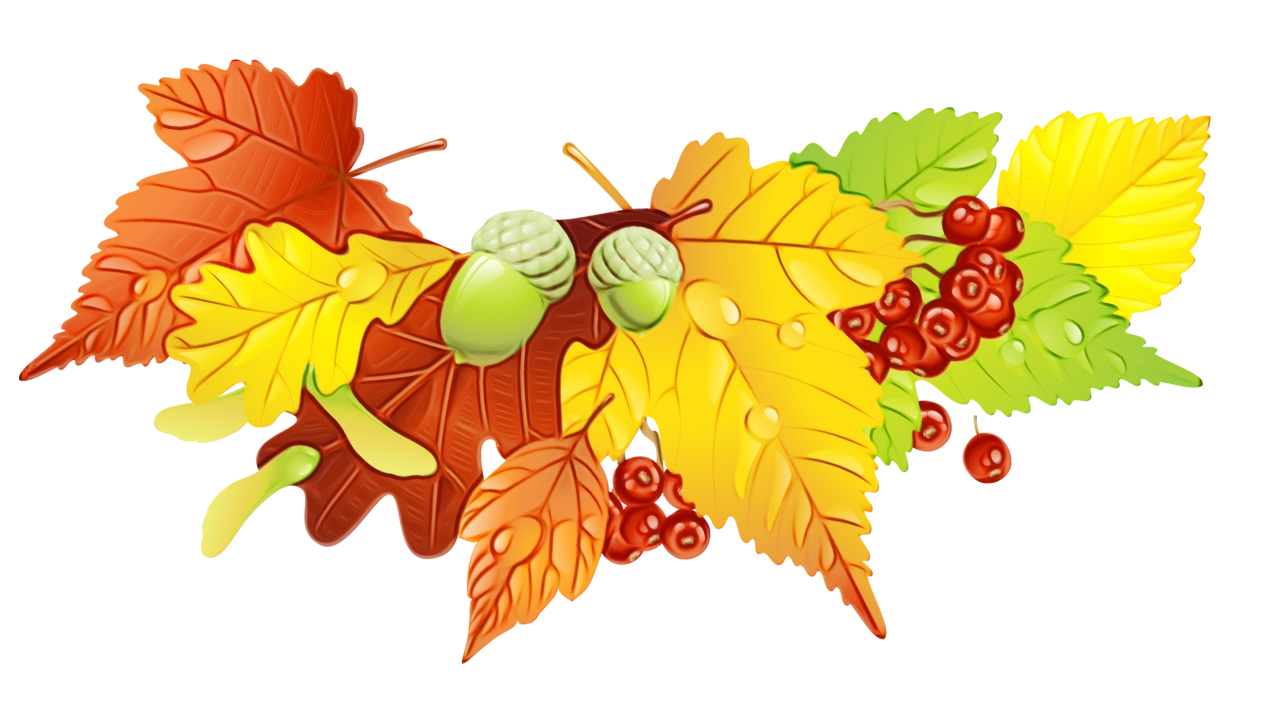 Autumn Leaves Drawing Church Parish Catholicism Religion Building History Catholic Church transparent bac