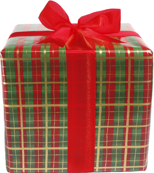 Plaid Christmas Gift Box