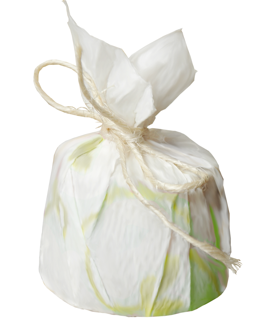 Translucent White Gift Bag