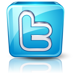 Glossy Blue 3D Cube Icon with Bird