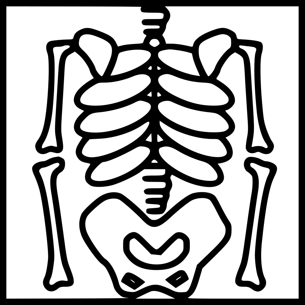 Black Outline Human Rib Cage And Spine Medical Diagram PNG Artwork