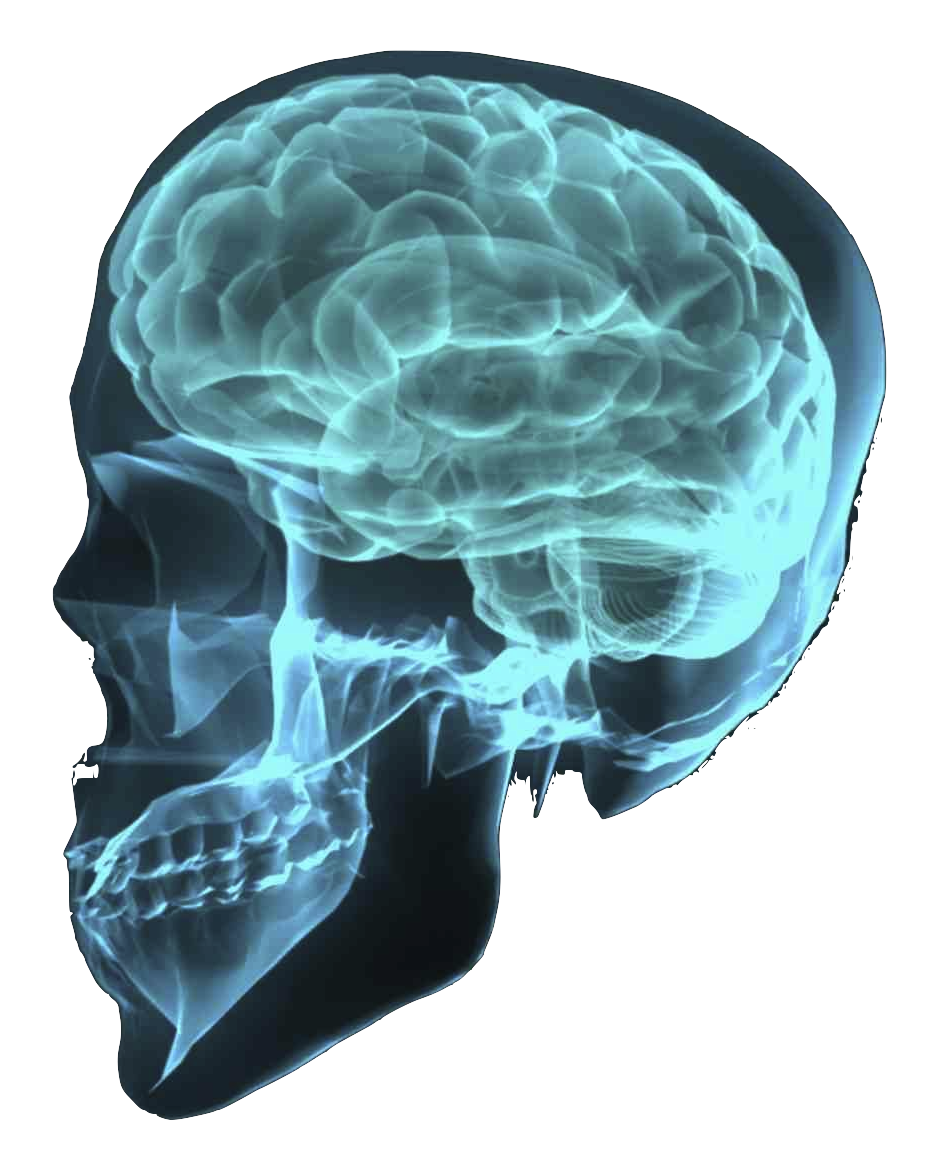 Blue Glowing Human Skull X Ray Side View Medical Illustration PNG Artwork