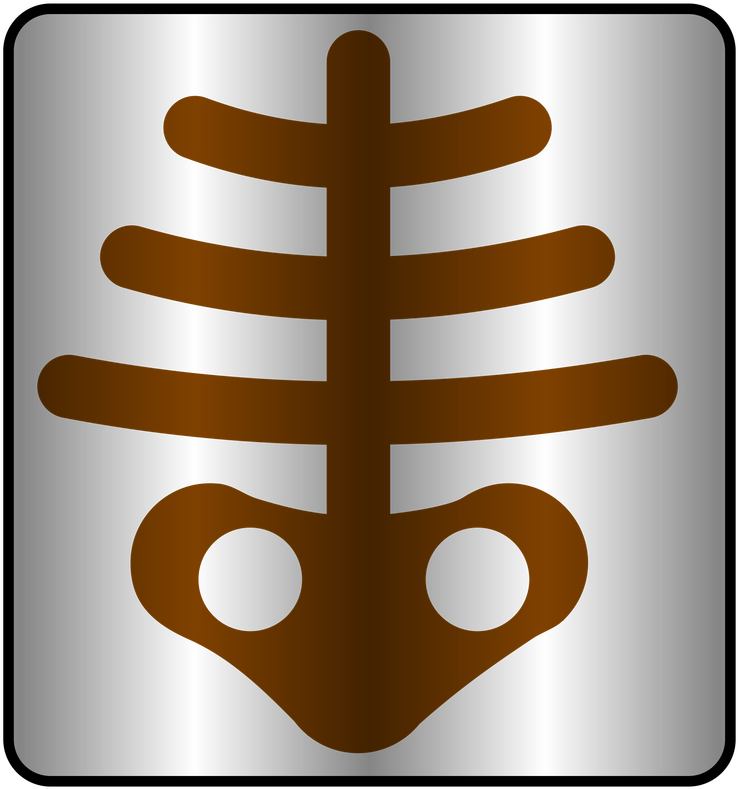 Brown Spine And Pelvis X Ray Symbol Inside Silver Square PNG Medical Graphic