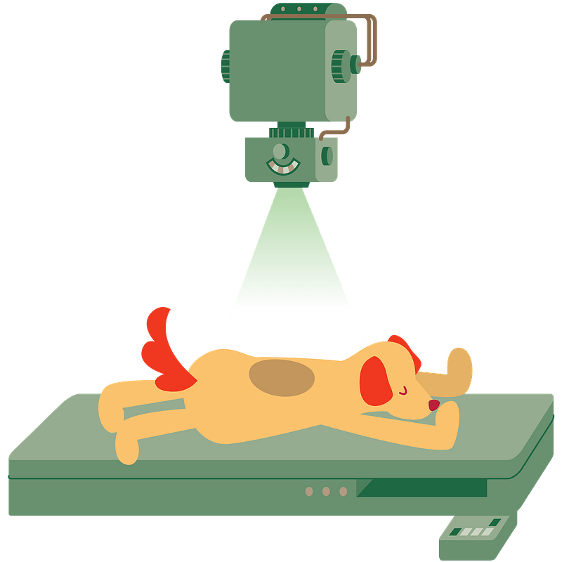Cartoon Patient Lying On Table For Full Body X Ray Scan PNG Illustration