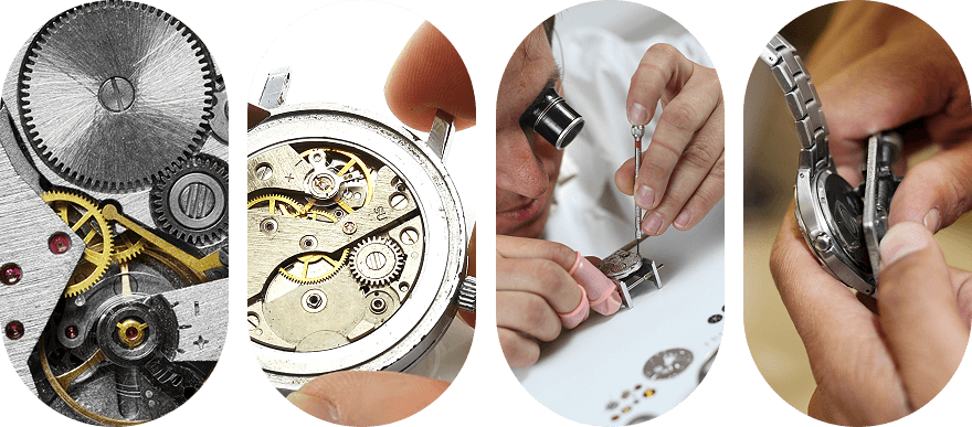 Watch Assembly Guide With Close Up Mechanical Timepiece Components PNG Graphic