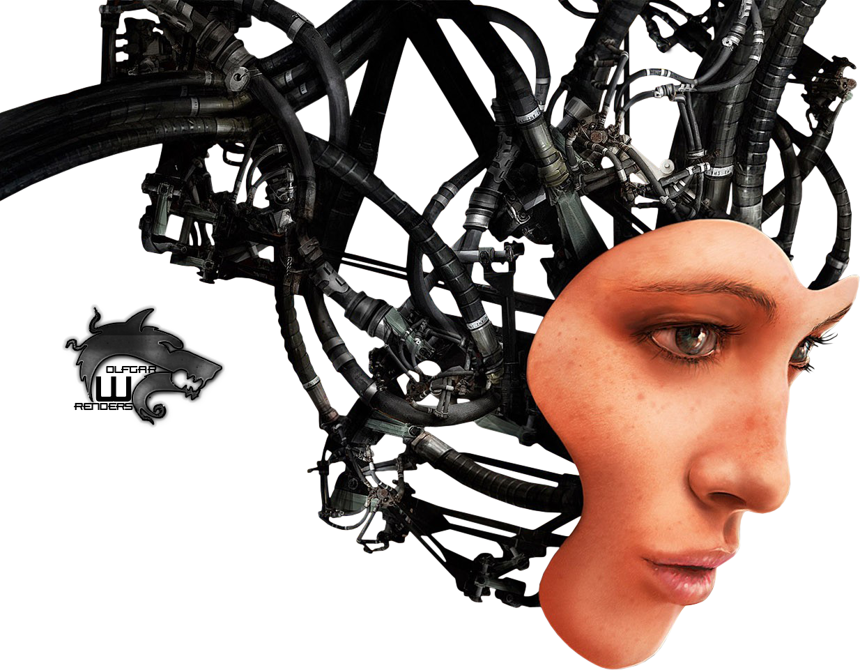 Female Android Face With Exposed Wires And Mechanical Head Frame PNG Image