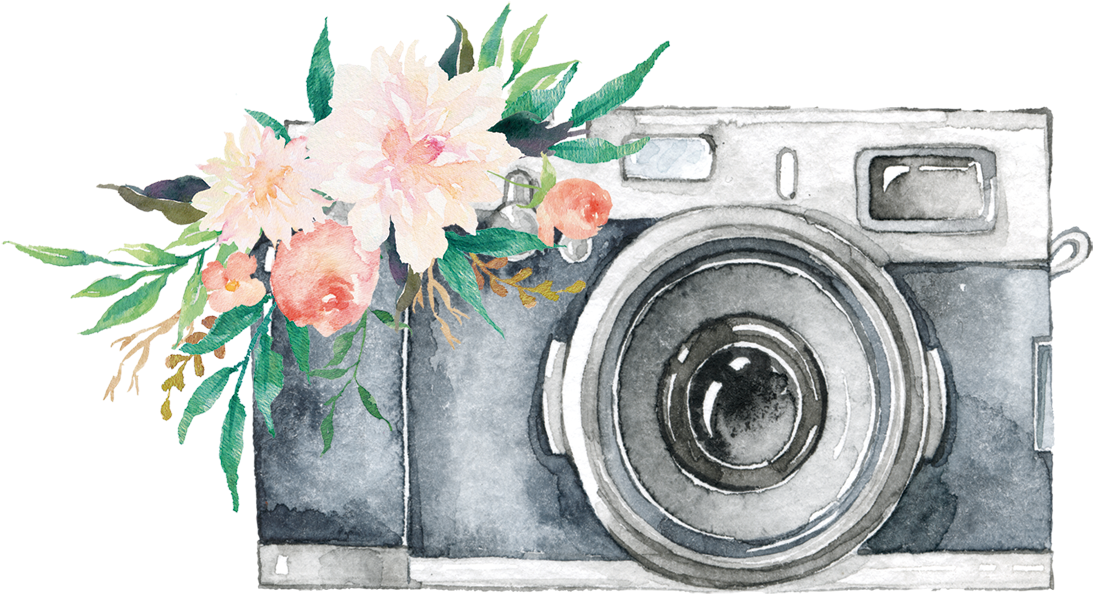 Watercolor Pink Flower Bouquet Beside Vintage Camera Illustration Digital Camera Transparent PNG