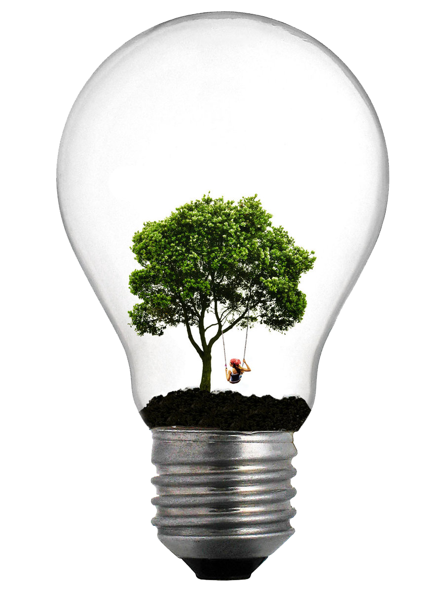 Creative Clear Light Bulb With Small Green Tree Growing Inside Transparent PNG Clipart