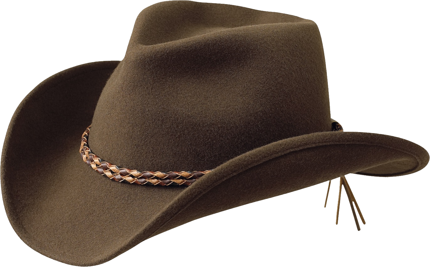 Dark Brown Western Hat With Chain And Feather Detail PNG Cutout With Clear Background