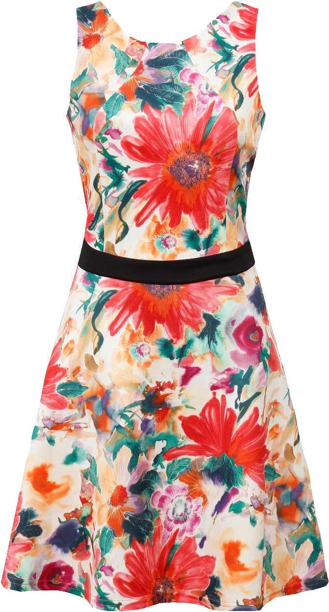 Colorful Floral Print Sleeveless Summer Dress Isolated Transparent PNG Graphic