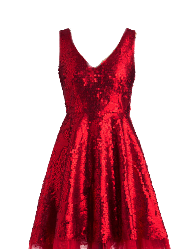 Dark Red Velvet Evening Dress With V Neckline PNG Cutout With Clear Background